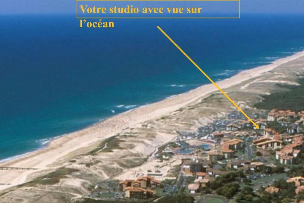 Studio Ultra Cosy Et Chic Avec Vue Sur L'Ocean 3* Seignosse Dış mekan fotoğraf